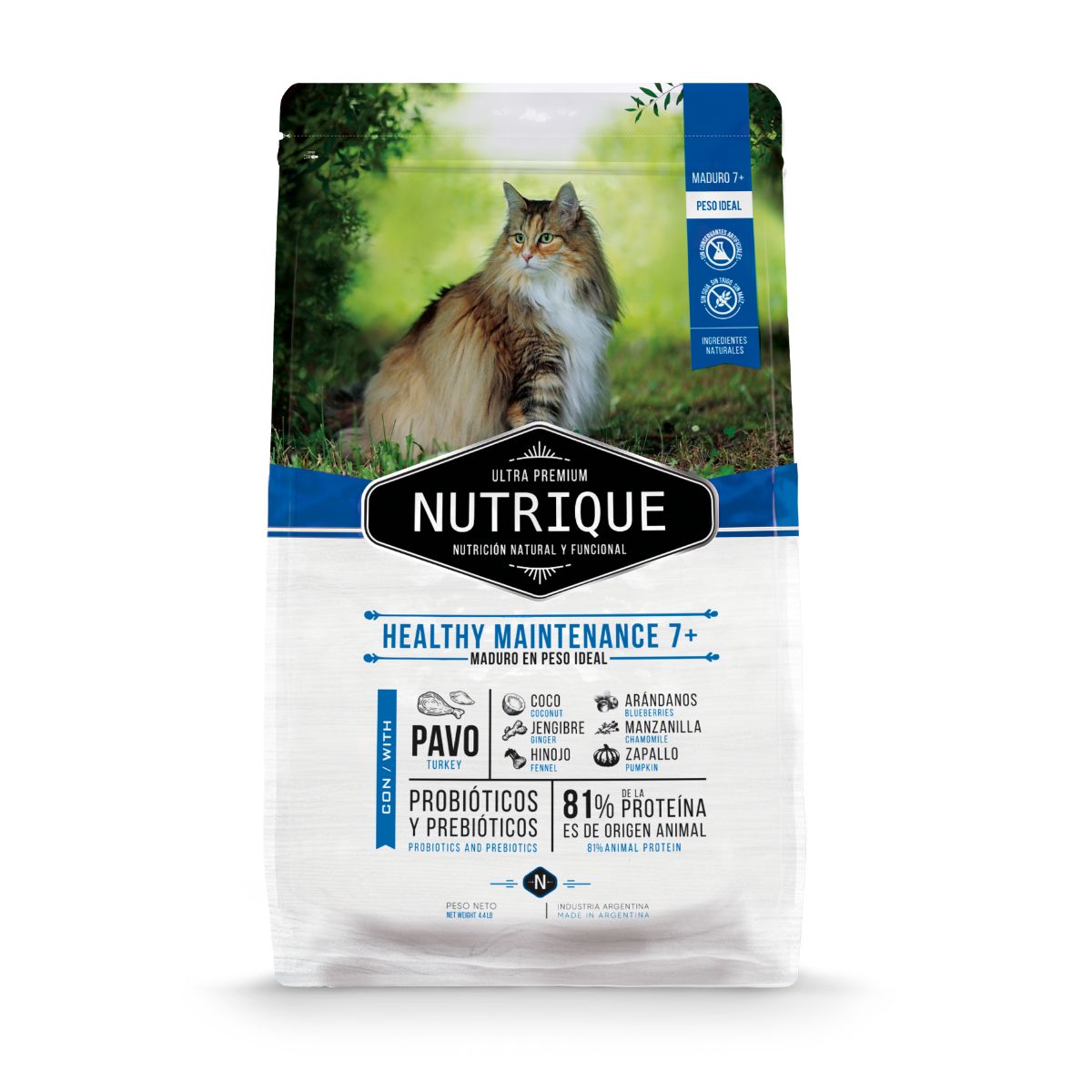 xr:d:DAFe3dPbmO8:283,j:368574046137349393,t:23100220